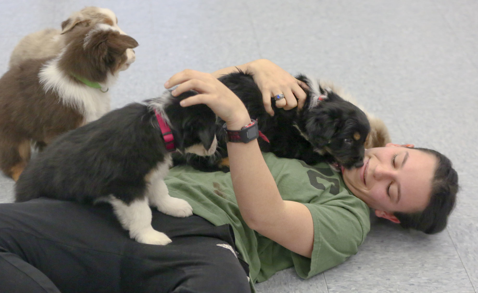 MG Puppy Pilates 010720